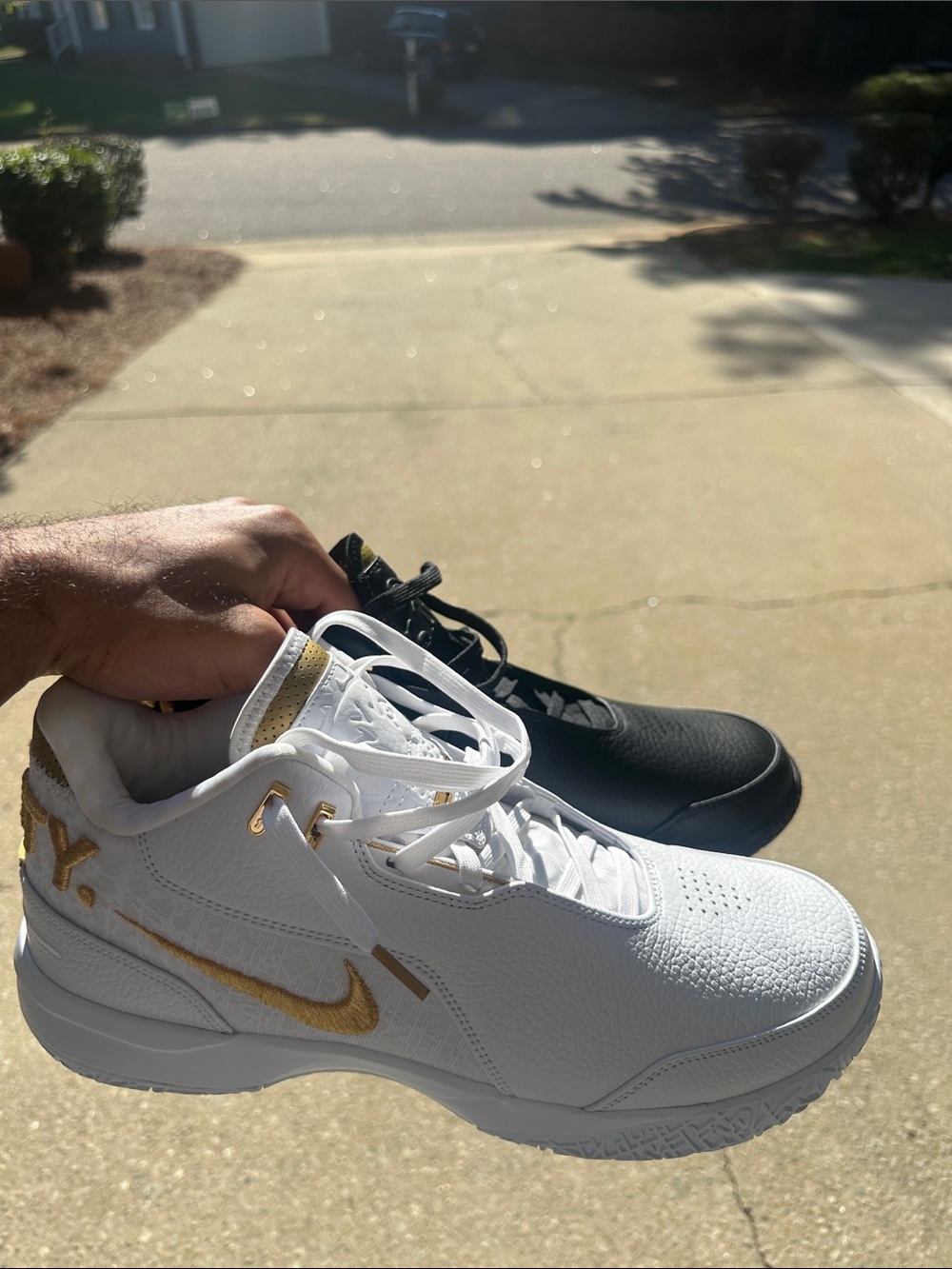 Nike Zoom LeBron NXXT GEN White, Gold, Black, Low-Top Sneakers